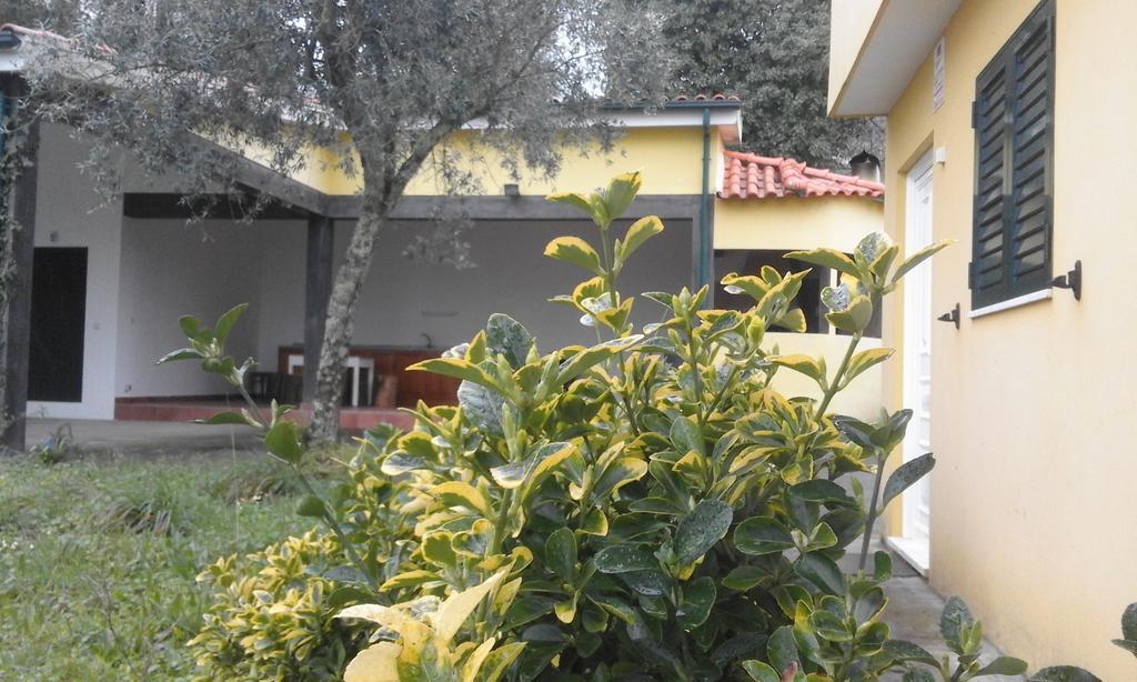 Casa Amarante Porto Villa Ngoại thất bức ảnh